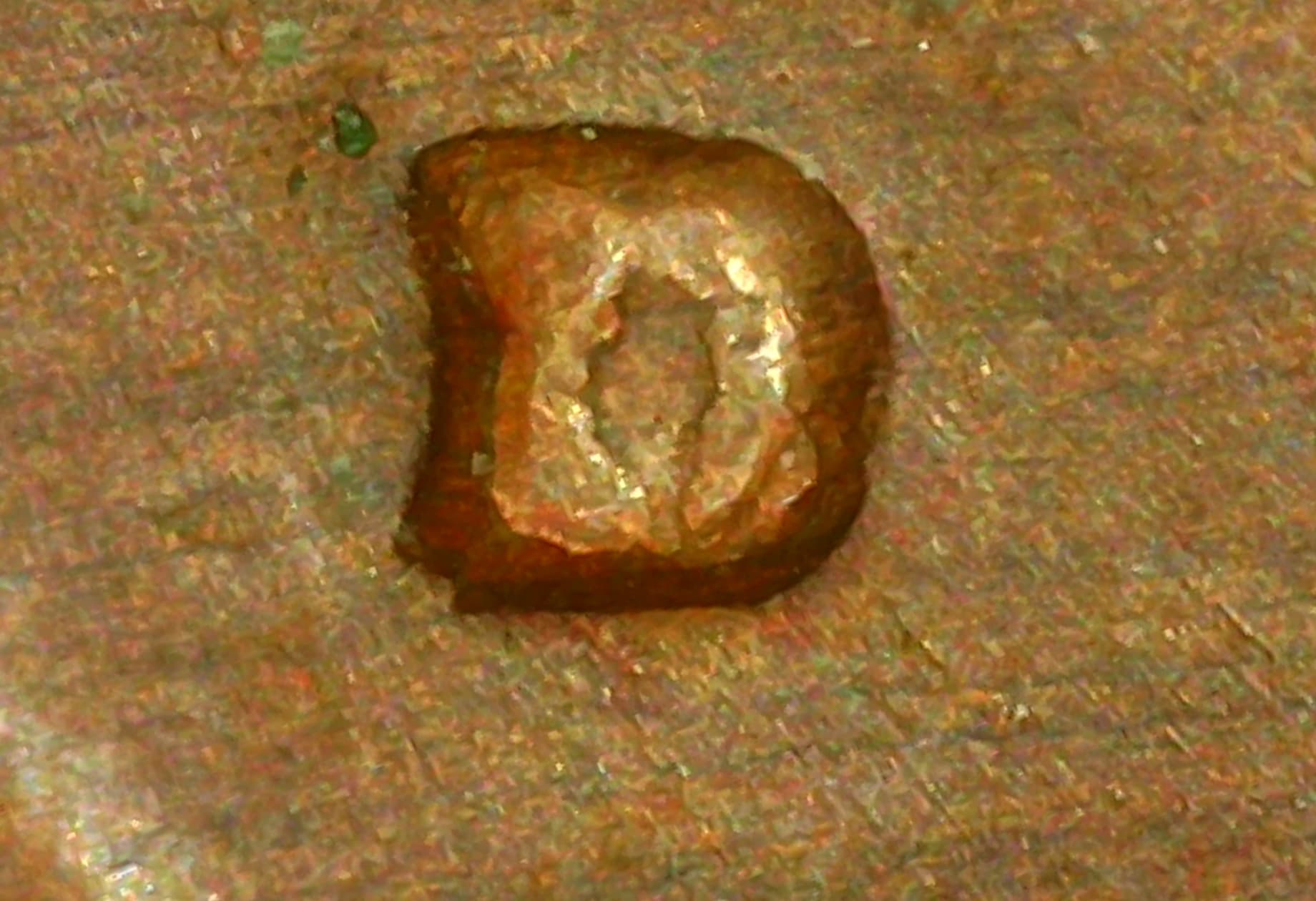 1979-D-Penny---RPM-Or-Common-'79-MM-Punch?