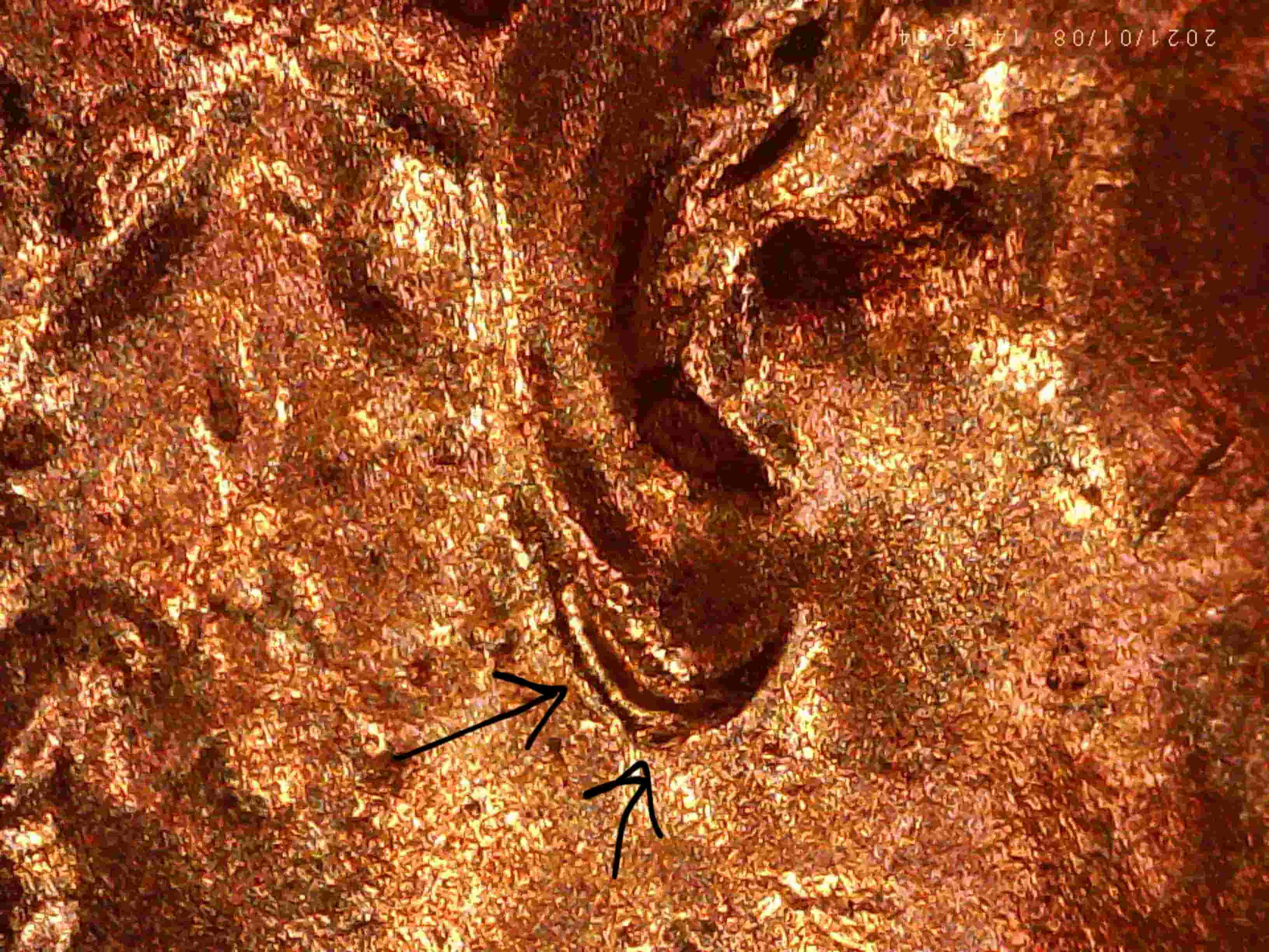 2021-P-Penny-_-Doubled-Ear-And/Or-Die-Chip?