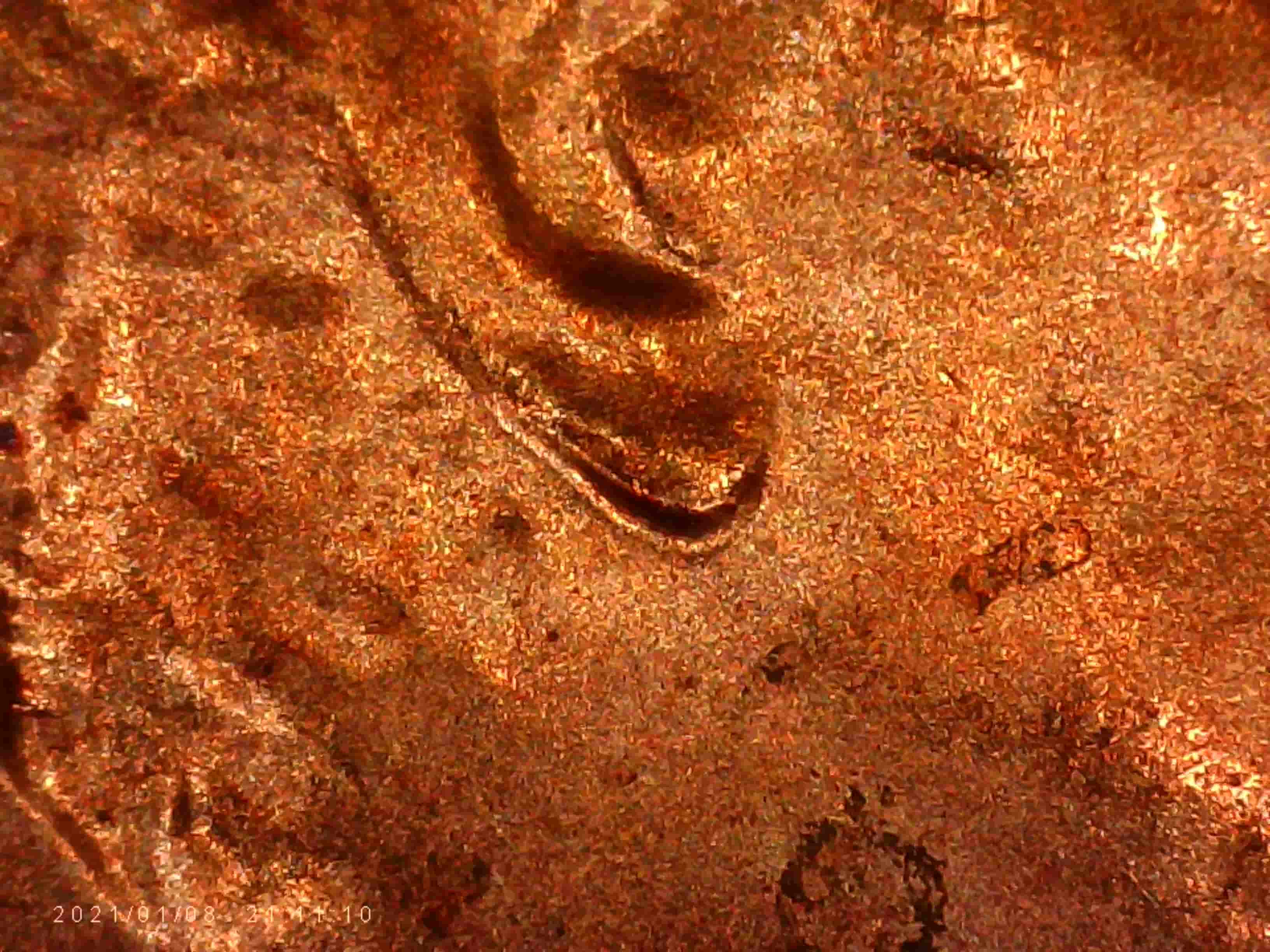 2021-P-Penny-_-Doubled-Ear-And/Or-Die-Chip?