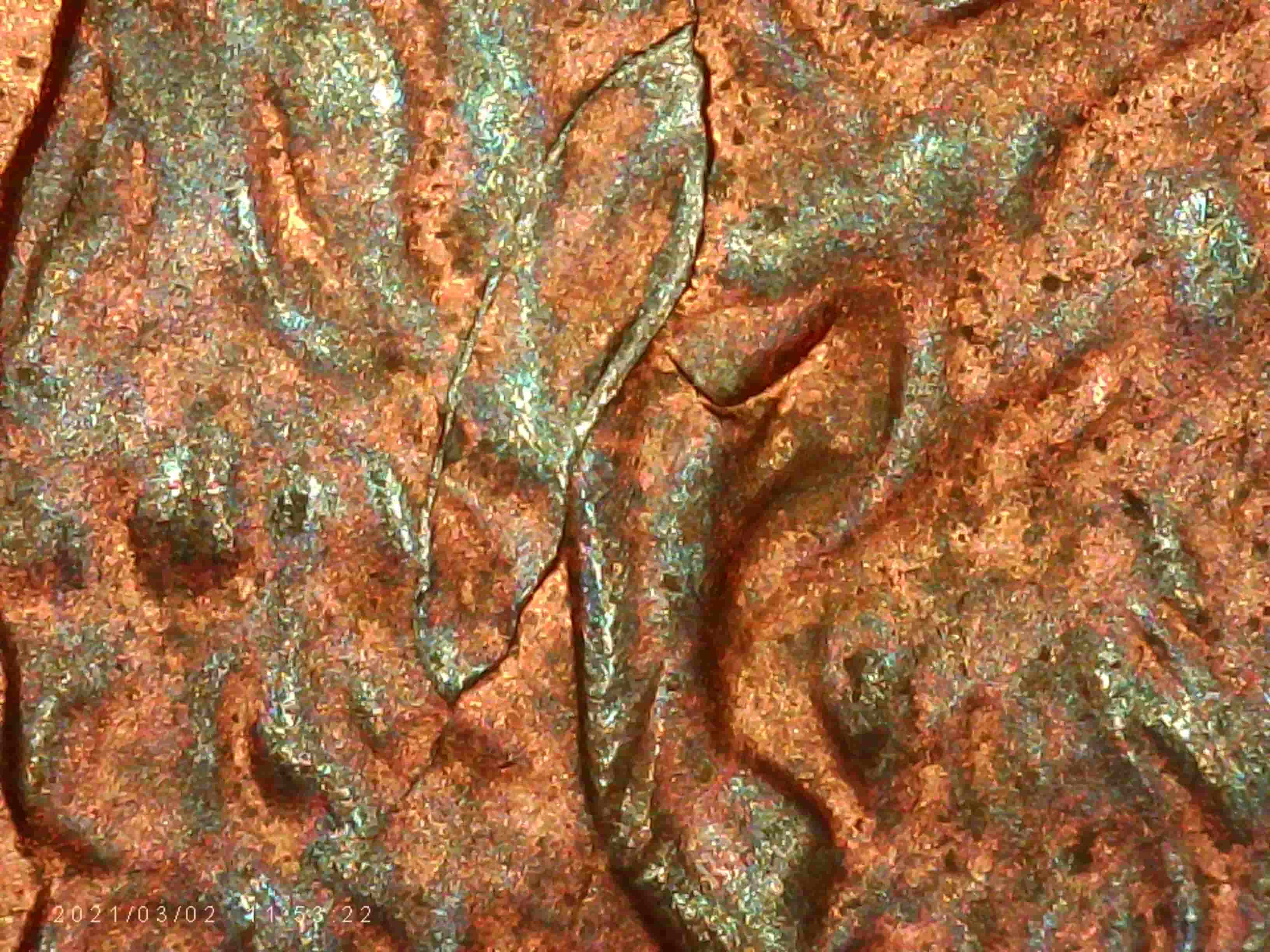 1995-P-Penny---Die-Cracks-Left-Of-Ear?