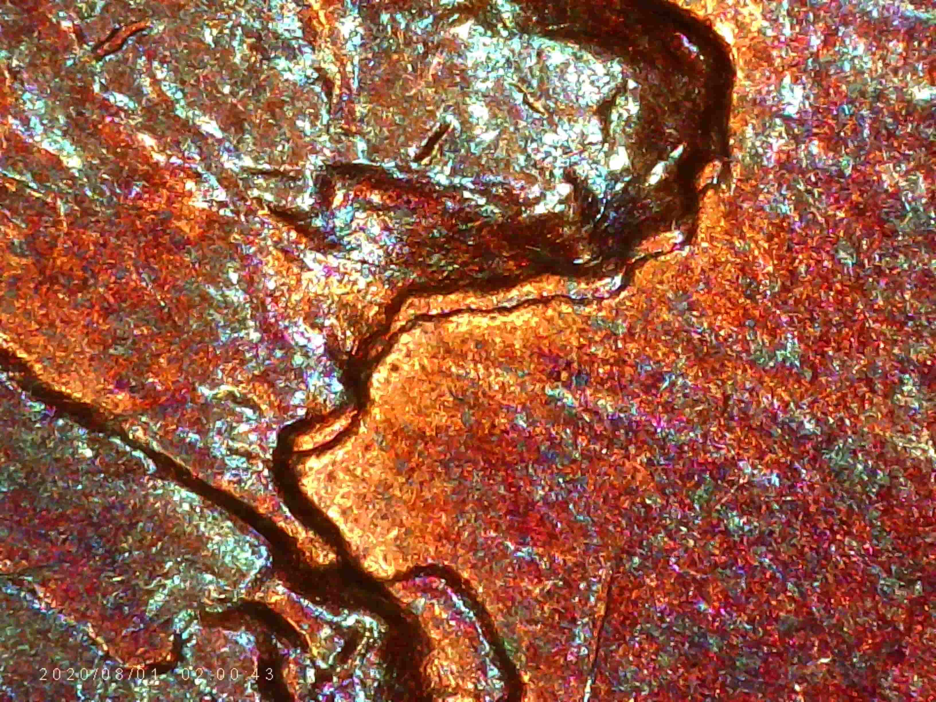 1984-P-Penny---WDDO-011?