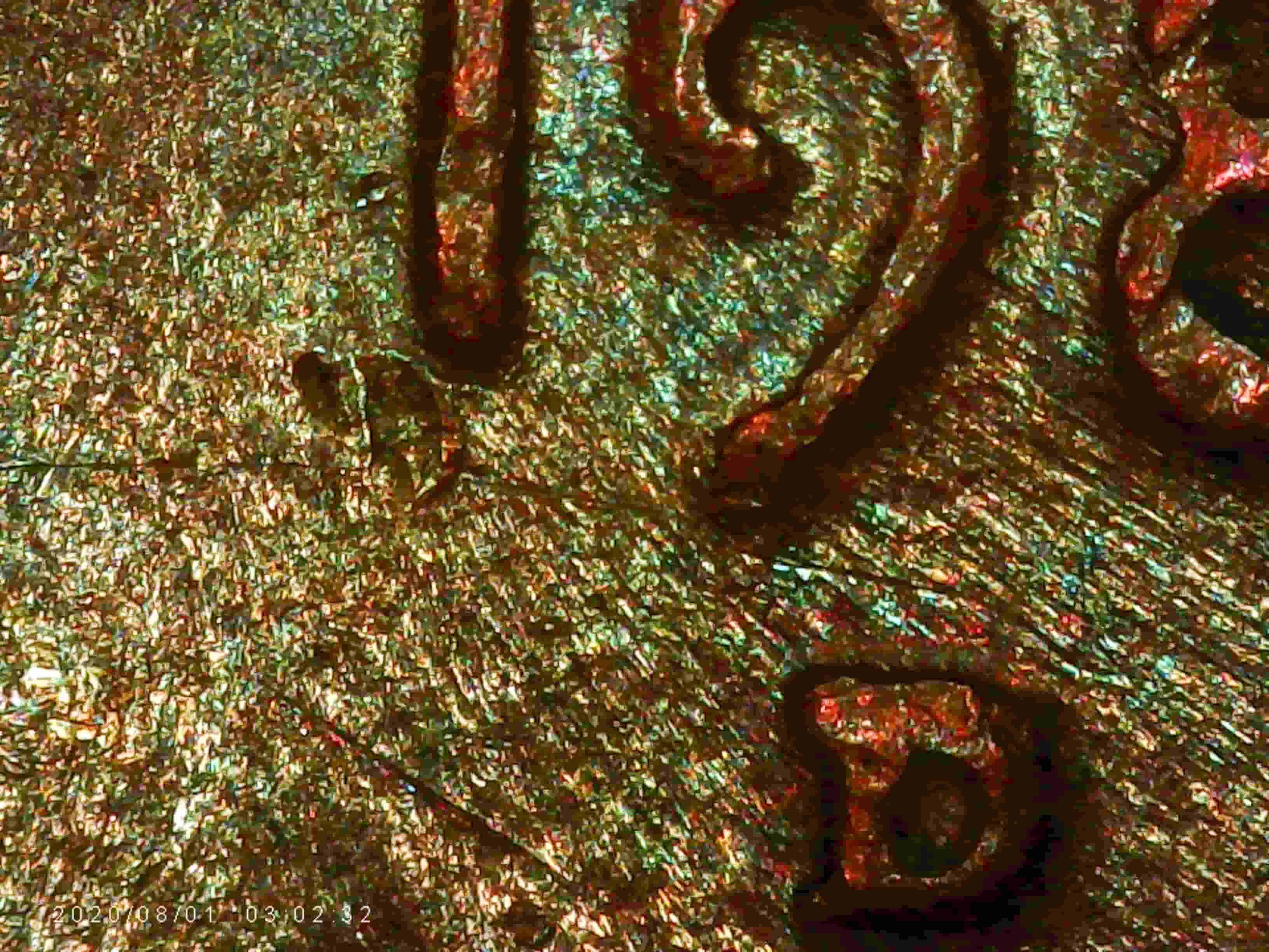 1981-D-Penny---Extra-D-Beneath-The-Date-Or-'D'-Lookalike