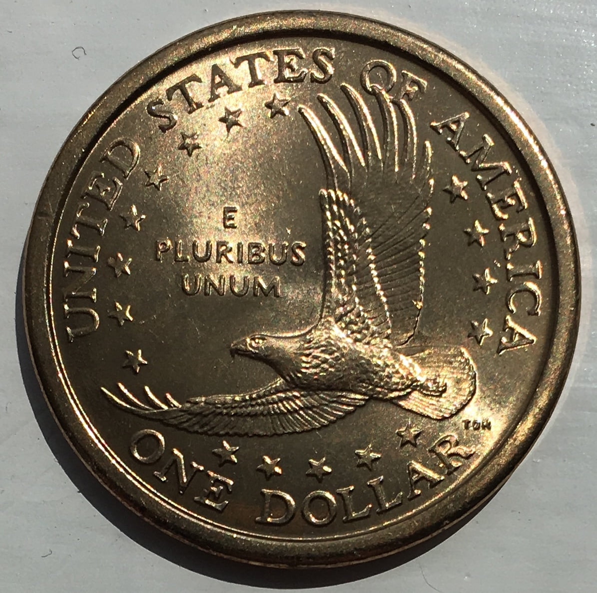 2000-P-Sacagawea-Dollar-For-Grading