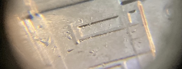 Spray-Of-Die-Chips:-What-Did-This?-2022-P-Nickel