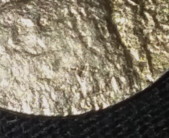 Tell-Me-This-Isn't-The-Coolest-Nickel-Ever-I-Find-New-Words-The-More-I-Look