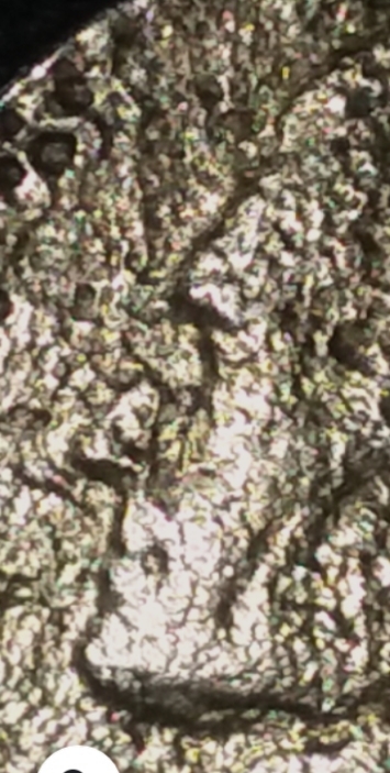 Tell-Me-This-Isn't-The-Coolest-Nickel-Ever-I-Find-New-Words-The-More-I-Look