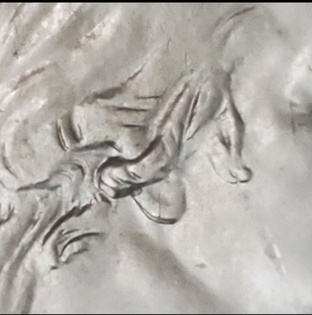 2022-P-Quarter.-Double-Ear?-Am-I-Seeing-What-I-Think-I-Am?