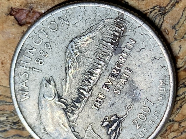 2007-D-Quarter-Error-Or-PMD-Covered-With-Tiny-Cracks