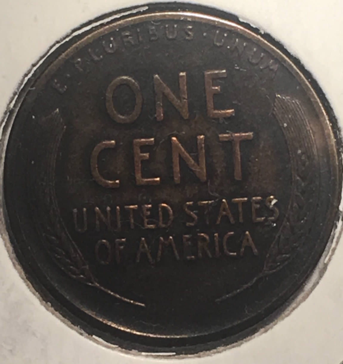 Are-These-Wheat-Pennies-Cleaned?