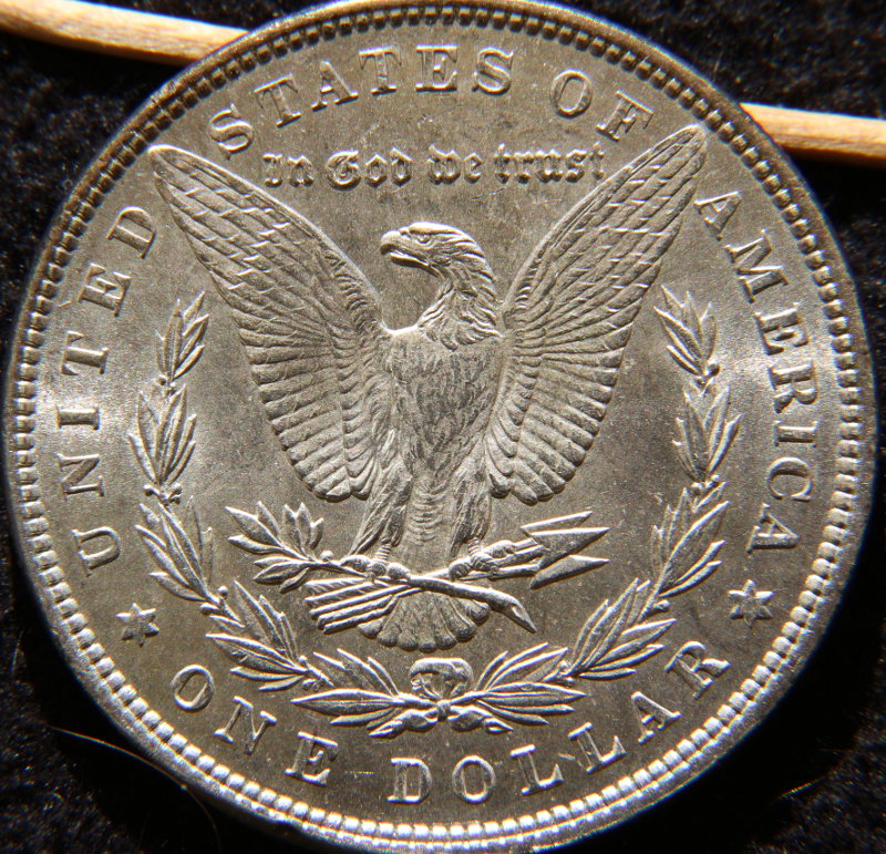 1897-Morgan-For-Grading,-Please---Tarnished-Edges?