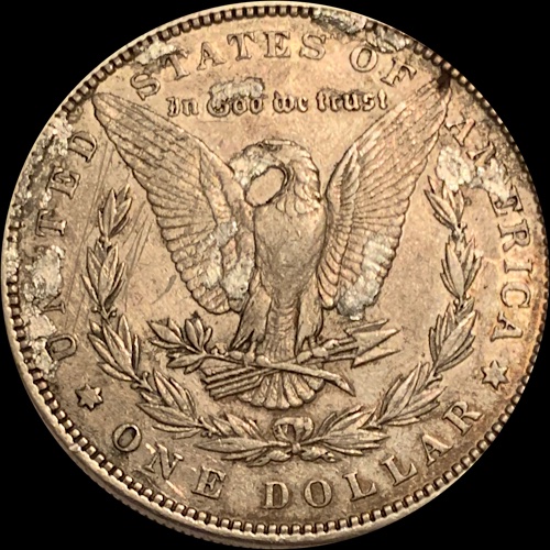 1884-Morgan-Dollar--Grade-It!
