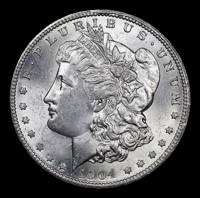 28-Days-Of-The-Morgan-Dollars-Part-5