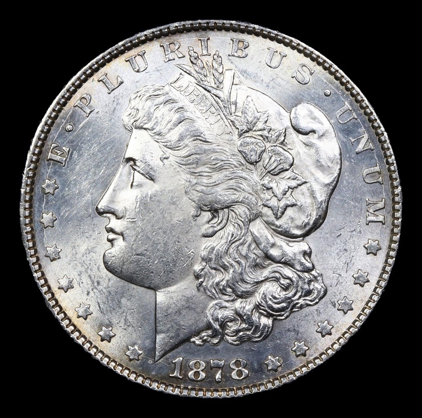 Opinions-Please---1878-Morgan-Dollar