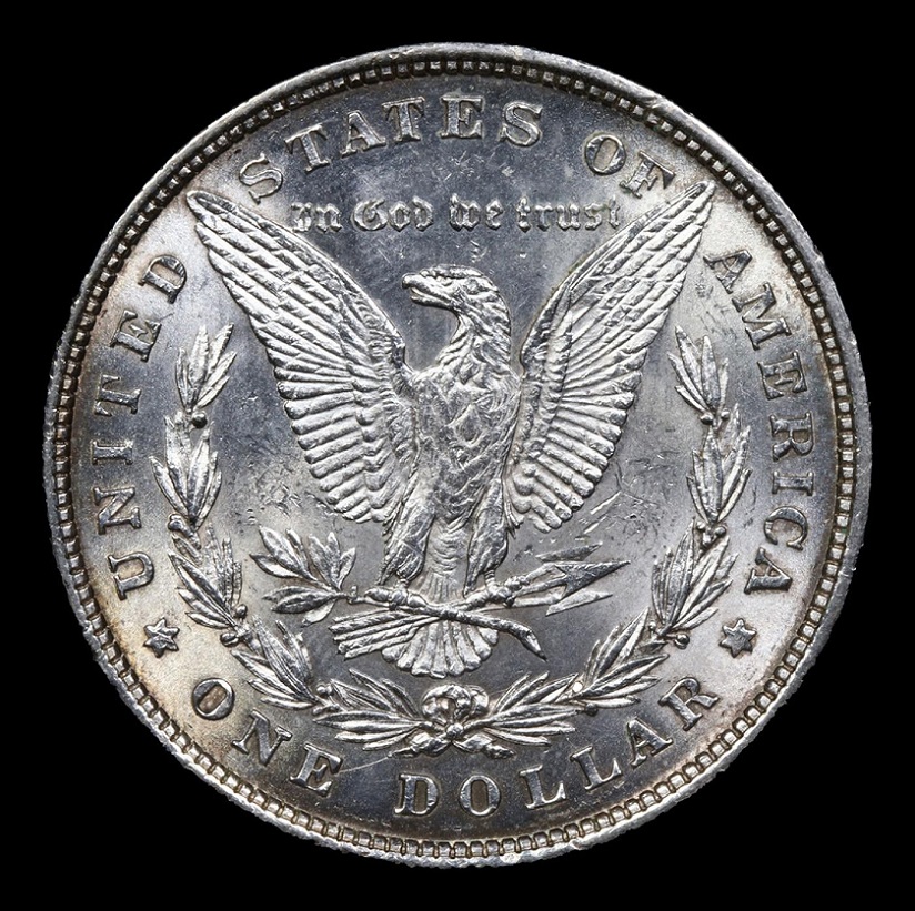 Opinions-Please---1878-Morgan-Dollar