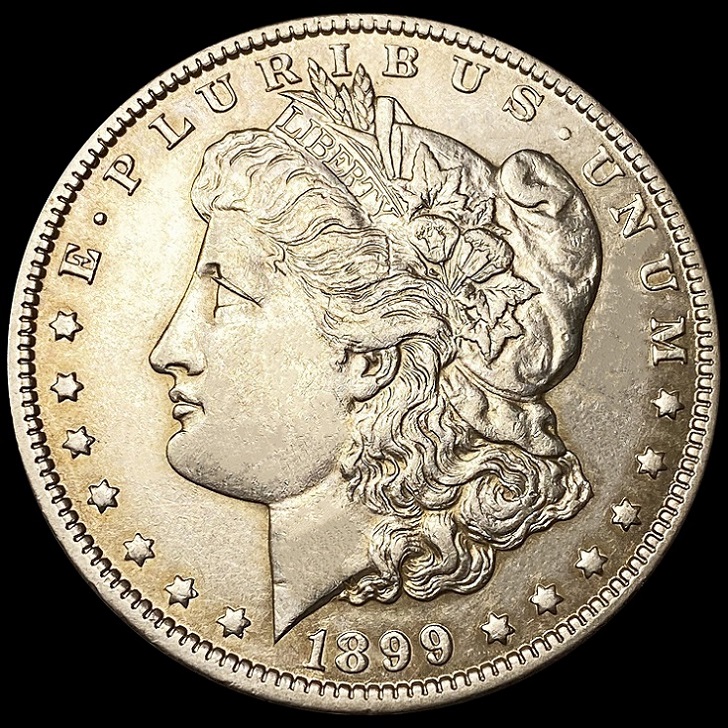 28-Days-Of-The-Morgan-Dollars-Part-5