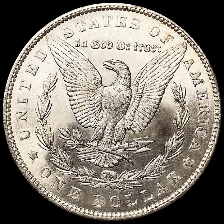 28-Days-Of-The-Morgan-Dollars-Part-5