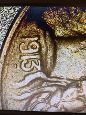 This-Is-A-1913-Buffalo-Nickel-Type-One