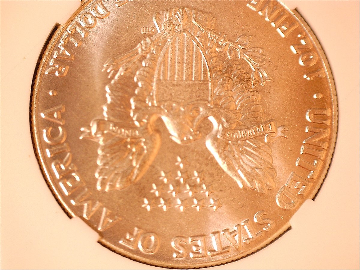 2008-Silver-Eagle-2007-Reverse-Question