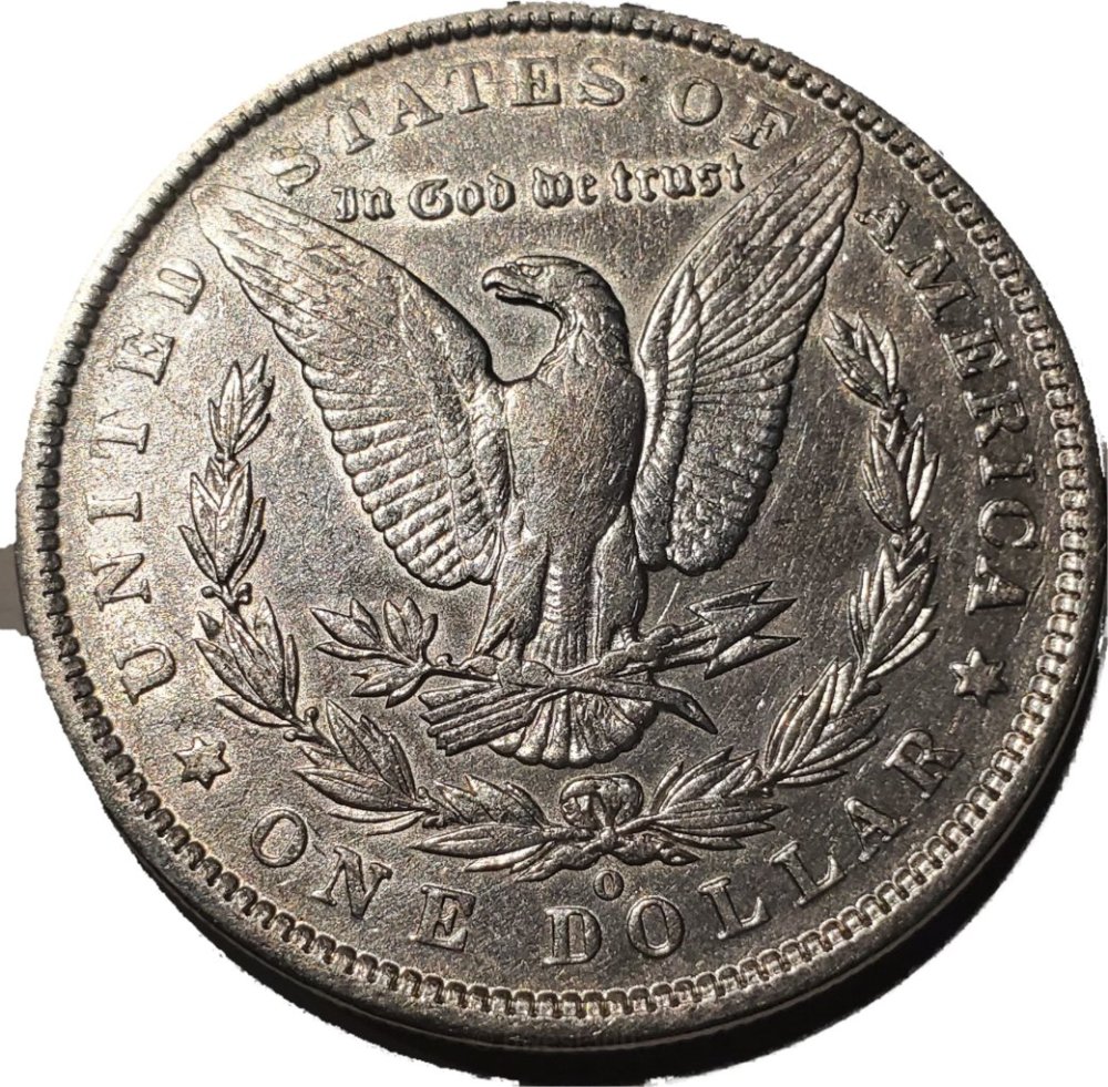 What-Do-You-Guys-Think-Of-This-Morgan?-1889-O--Possible-Error
