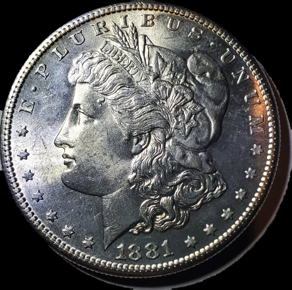 Grade-For-This-1881-S-Morgan?
