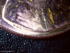 2023-D-Penny-With-A-VDBv