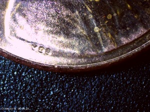 2023-D-Penny-With-A-VDBv