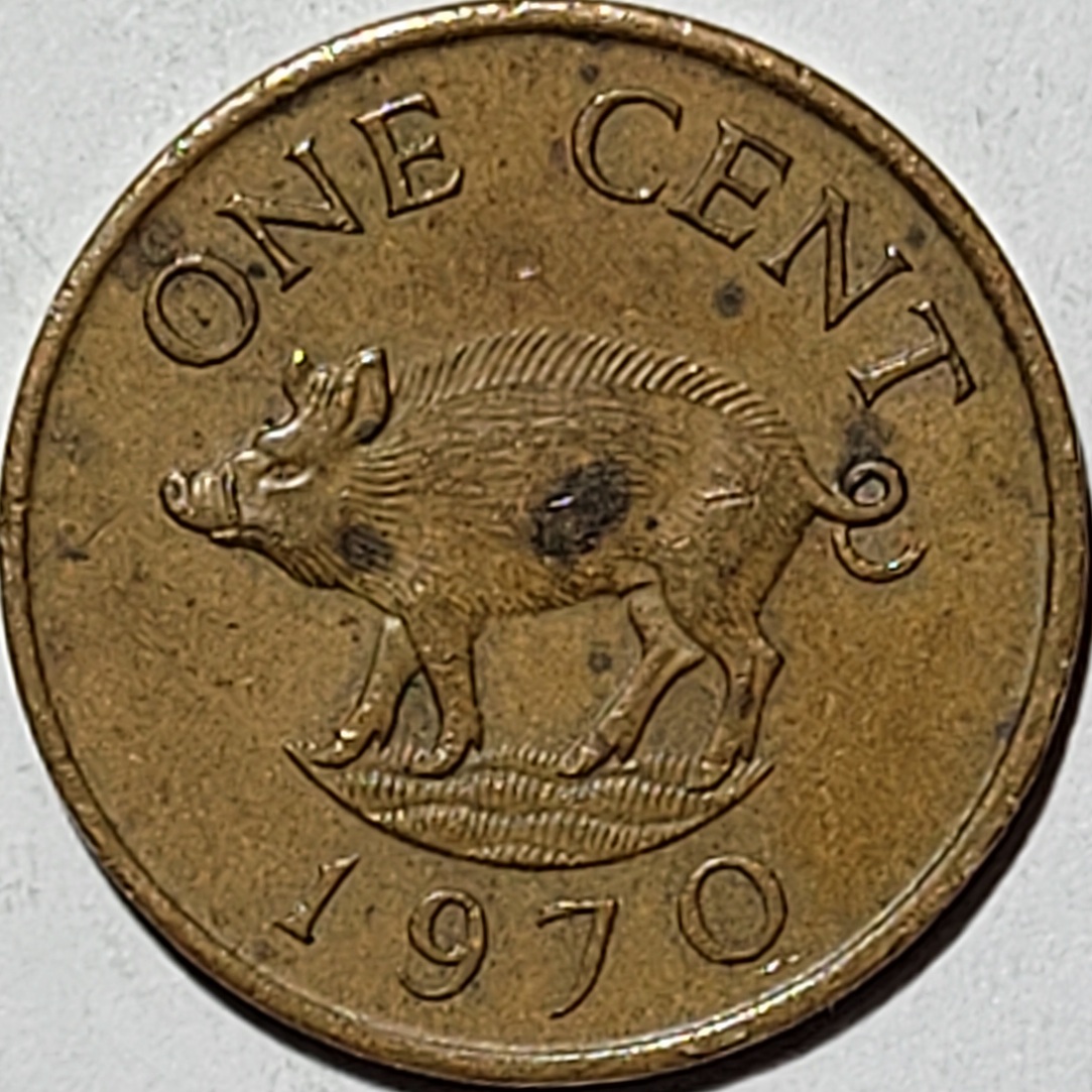 1970-Bermuda-One-Cent--Boar