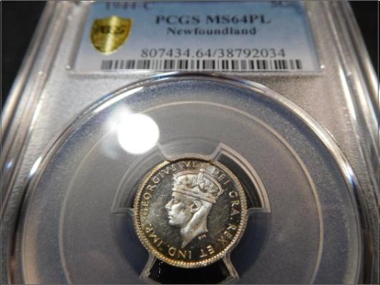Newfoundland-1944-C-5-Cents---MS-Or-Pl?