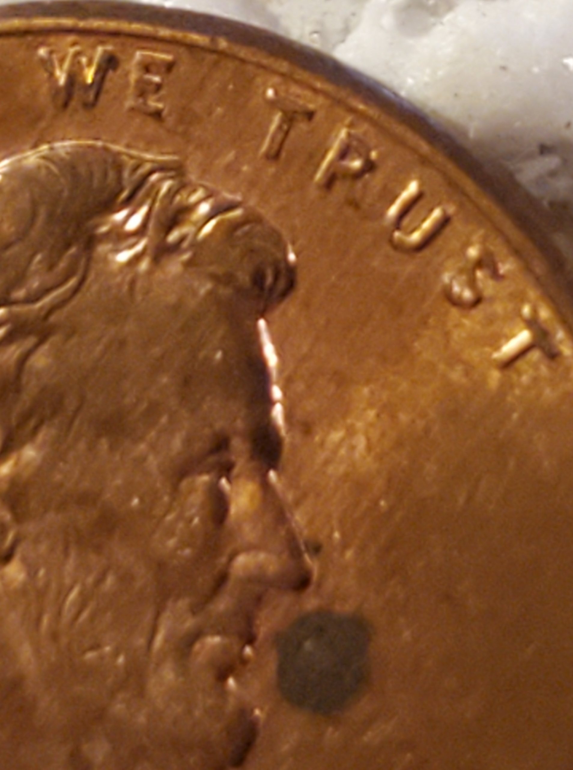 Are-The-Coin-Gods-Happy,-Looking-At-This-1995-D-Lincoln-DDO?
