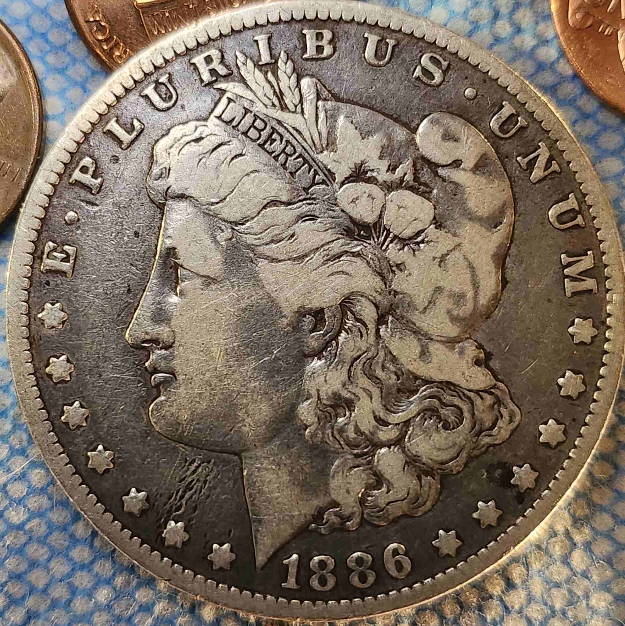 My-First-Coin-Purchase,-1886-O-Morgan-Dollar,--Tell-Me-How-I-Did
