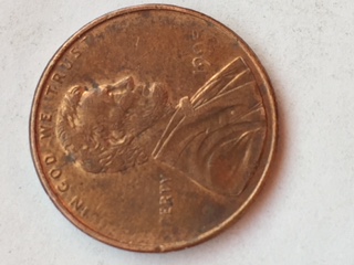 Over-Polished-Die/Struck-Through-Heavy-Grease-Cent-Error?