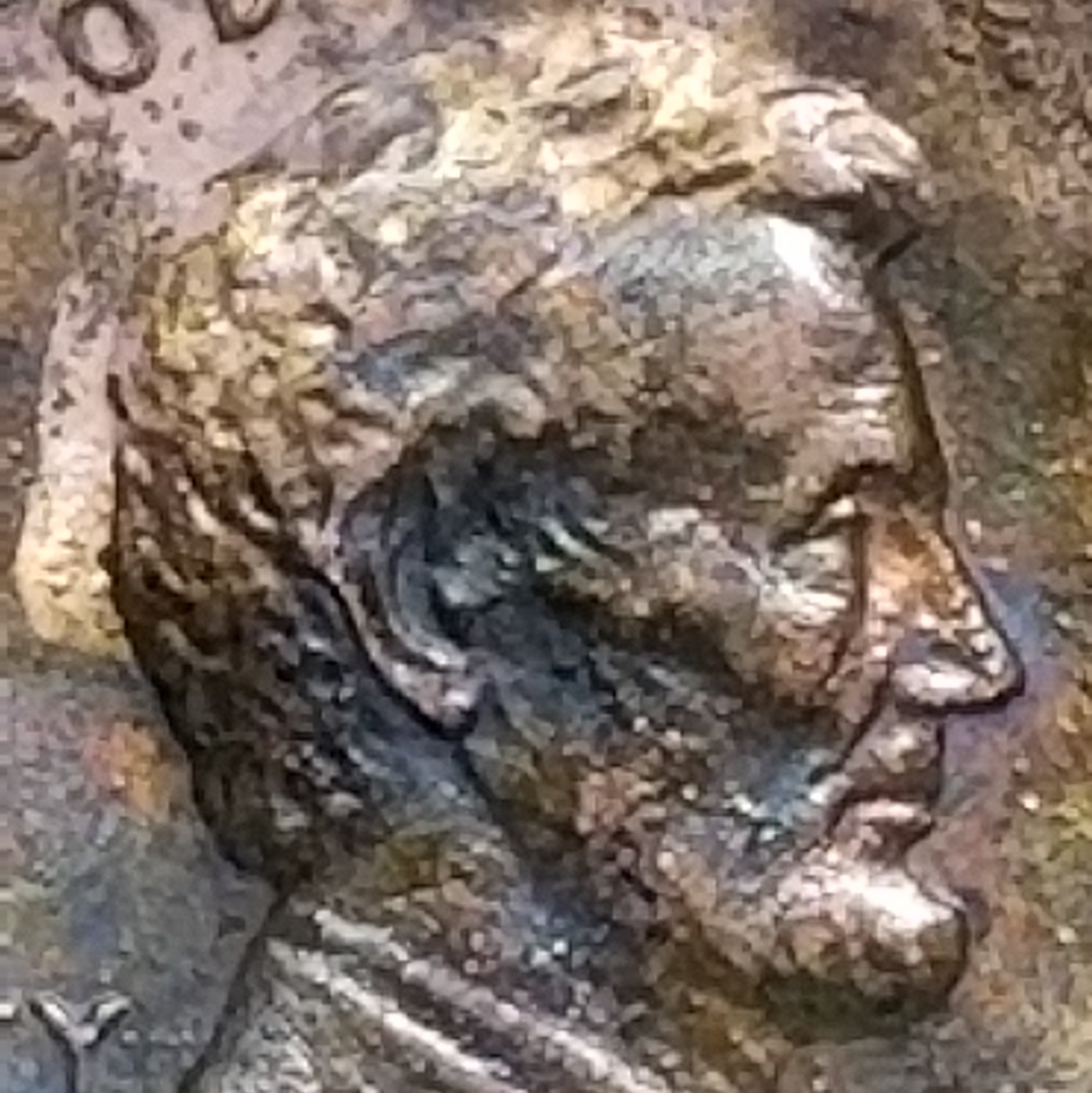 Mint-Die-Damage-Or-Normal-Wear-1985-D-Penny