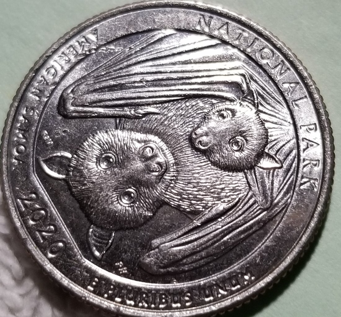 2020-Bat-Quarter-With-2-Marks