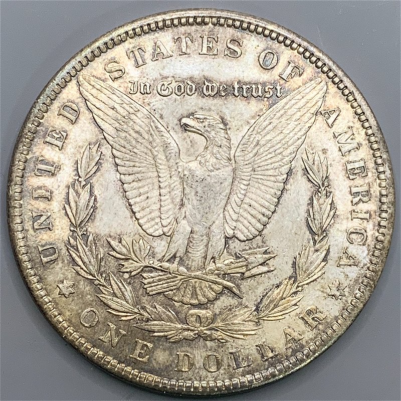 1893-Morgan-Dollar-Grade-Request