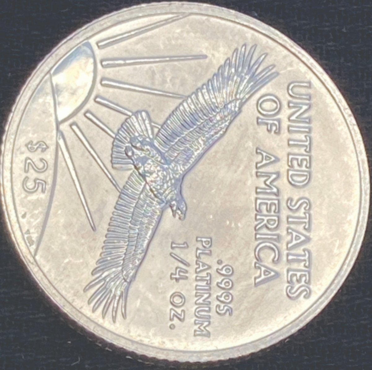 $25-Platinum-Eagle--Reverse-Proof-1997-2003?-Who-Knows?