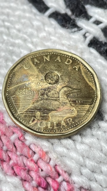 2022-Loonie---ErrorS