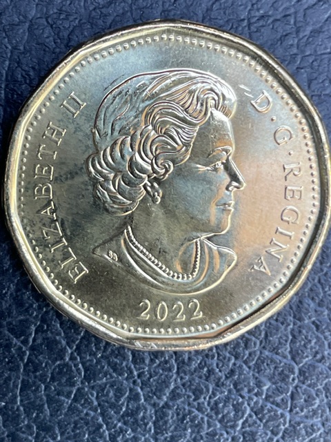 Asking-For-Help-With-This-2022-Loonie