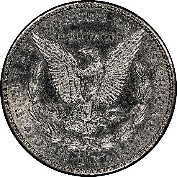 1884-S-Morgan-Dollar-Grading-Skills-Needed---First-Coin-I-Sent-To-NGC