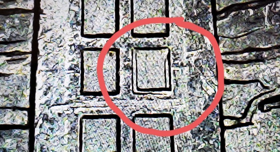 2014-Everglades-Quarter-Error