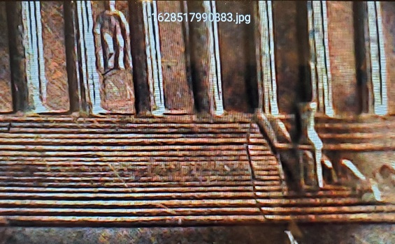 1995-Lincoln-Cent-Cool-Find