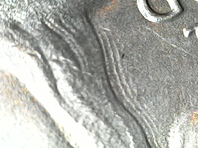 2019-P-American-Memorial-Park-Quarter-Question