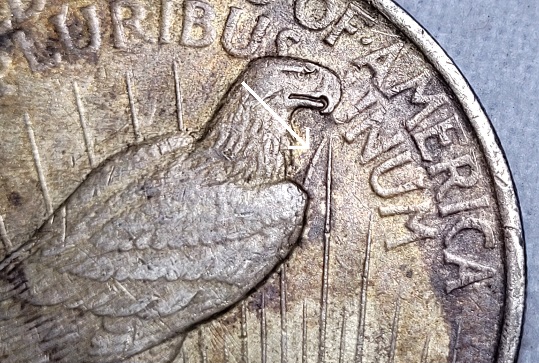 1922-Peace-Dollar-Raised-Area-Reverse-Question