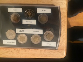 Experts-Opinions-Needed,-German-Planchet?-1996-Toonie-Error.