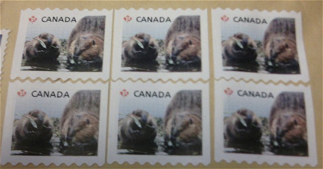 How-Much-Are-These-Canadian-Stamps?