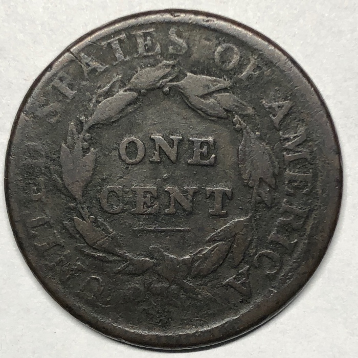 The-Varieties-Of-Classic-Head-Large-Cents