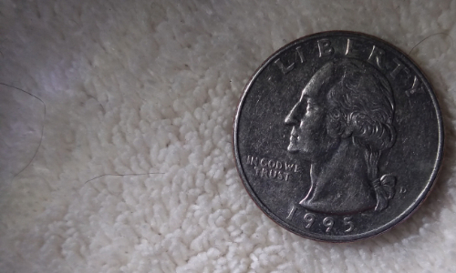 1995-Quarter-Am-I-Seeing-Double?!