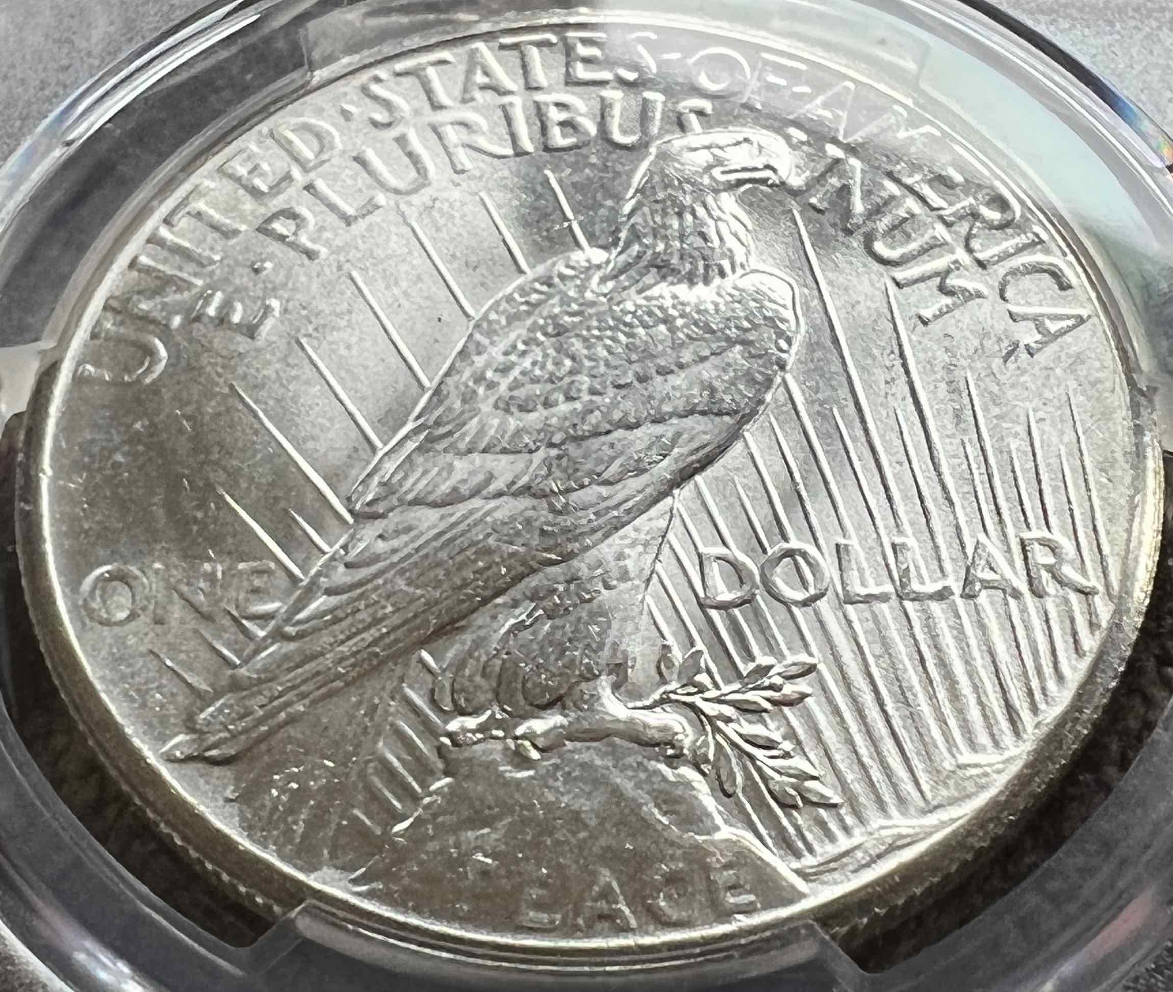 You-Vs-PCGS---1927-P-Peace-Dollar