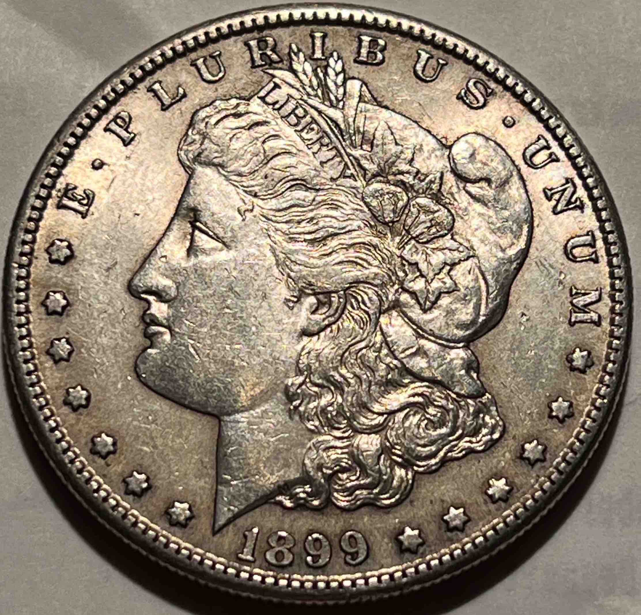 1899-S-Morgan---Grade-Opinions