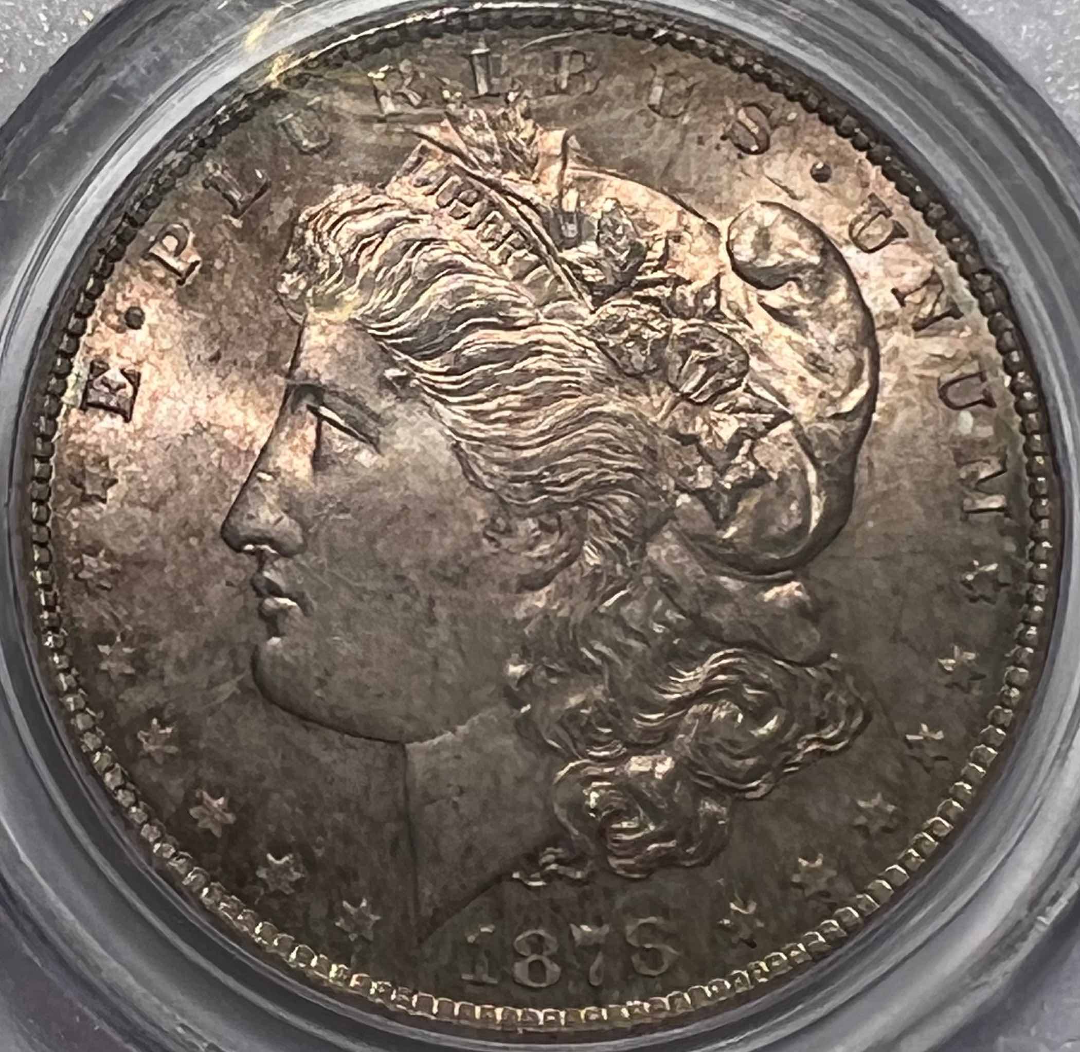 1878-CC-Morgan---You-Vs-PCGS