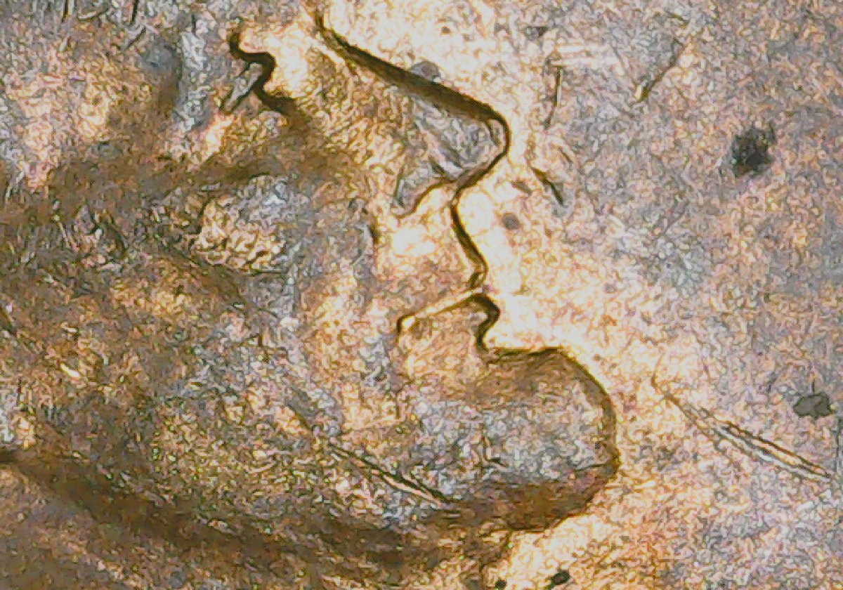 Is-This-A-Double-Die-1952-Cent